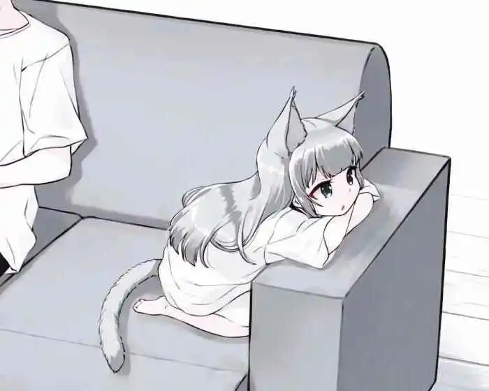 西檬之家字母圈dom是什么意思 一