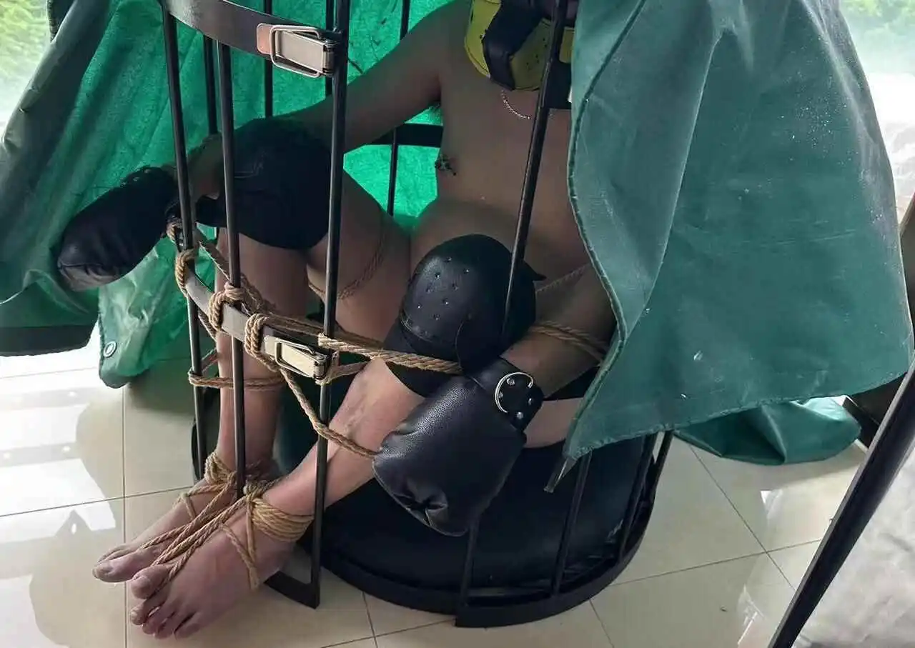 西檬之家DS关系入门指南 一