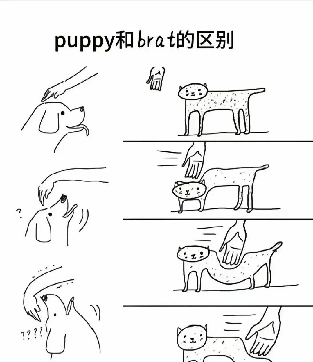 西檬之家sp小圈新人必读:SSC原则与安全边界 一