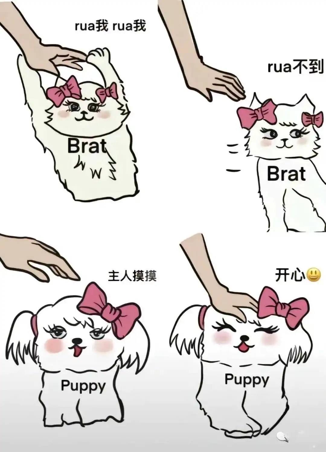 西檬之家字母圈Dom的核心定义 一