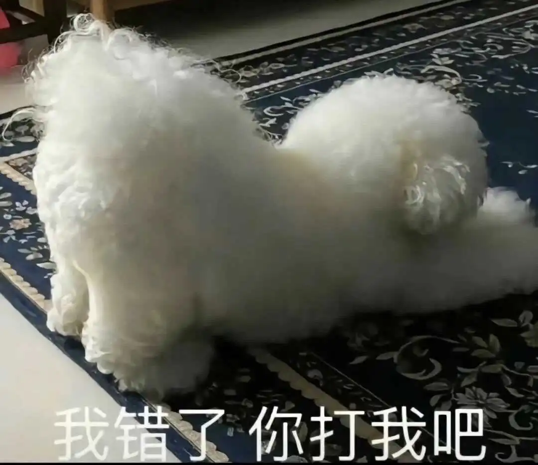 西檬之家brat属性是什么?你的字母圈身份 一