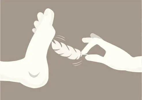 西檬之家k9犬系是什么? 一