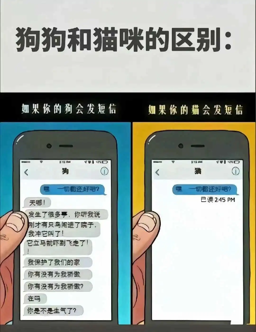 西檬之家字母圈新人如何入圈 一