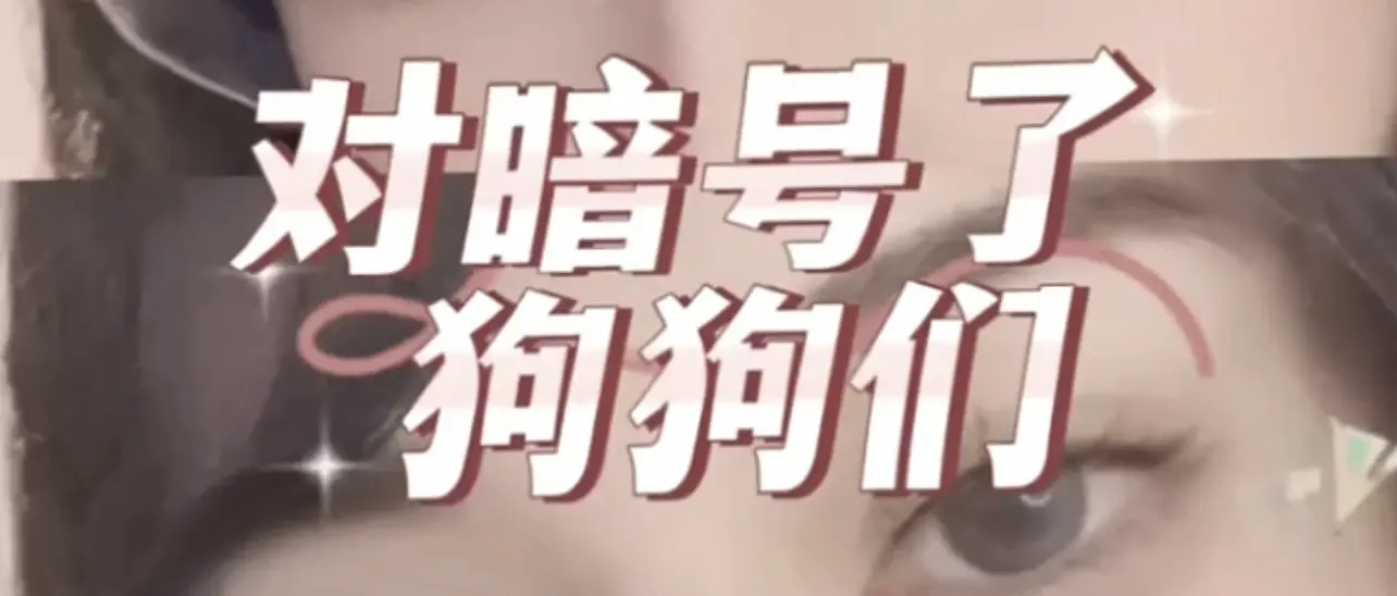 西檬之家sp小圈入门指南 一