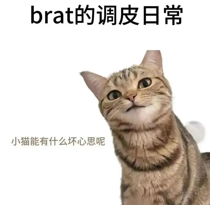 西檬之家字母圈圣水是什么意思? 一